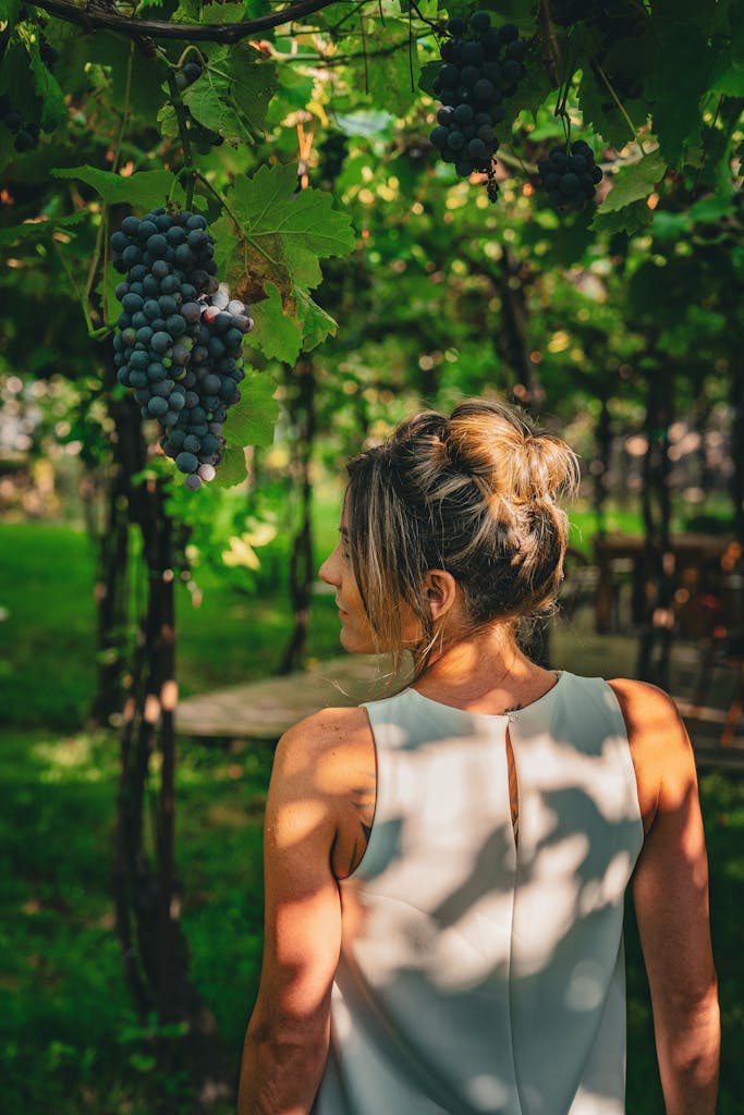 A woman stands under grapevines in a summer vineyard in Albania, basking in sunlight.