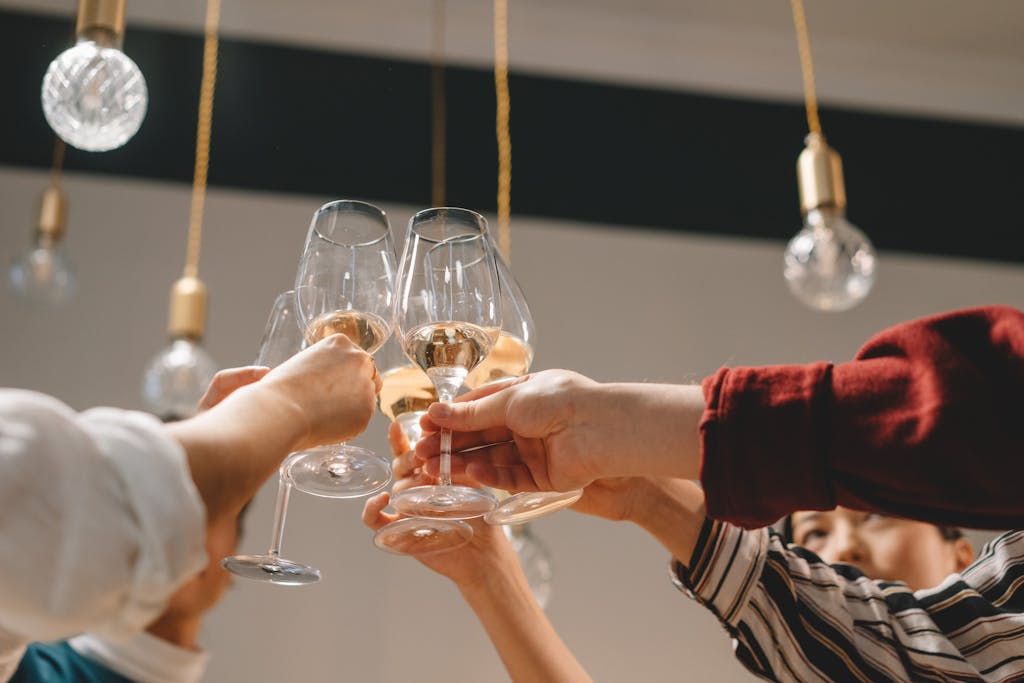 Group of friends celebrating with a toast of wine glasses indoors.